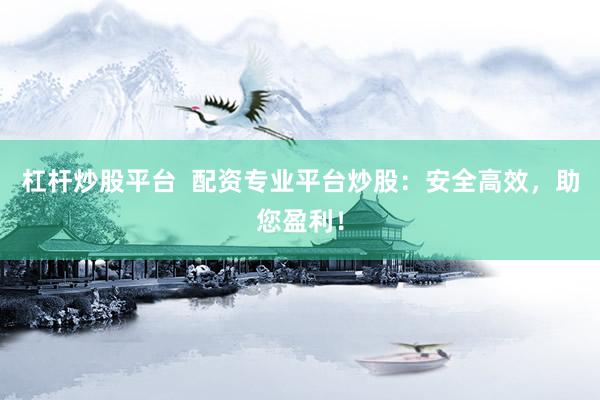 杠杆炒股平台  配资专业平台炒股：安全高效，助您盈利！