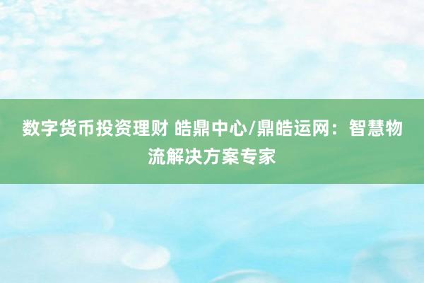 数字货币投资理财 皓鼎中心/鼎皓运网：智慧物流解决方案专家