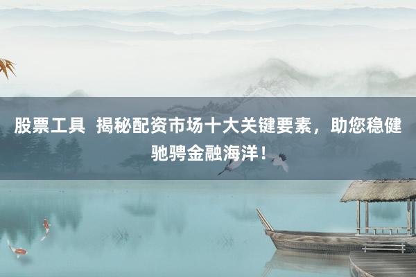股票工具  揭秘配资市场十大关键要素，助您稳健驰骋金融海洋！