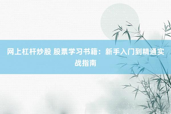 网上杠杆炒股 股票学习书籍：新手入门到精通实战指南
