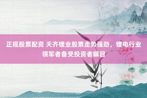 正规股票配资 天齐锂业股票走势强劲，锂电行业领军者备受投资者瞩目