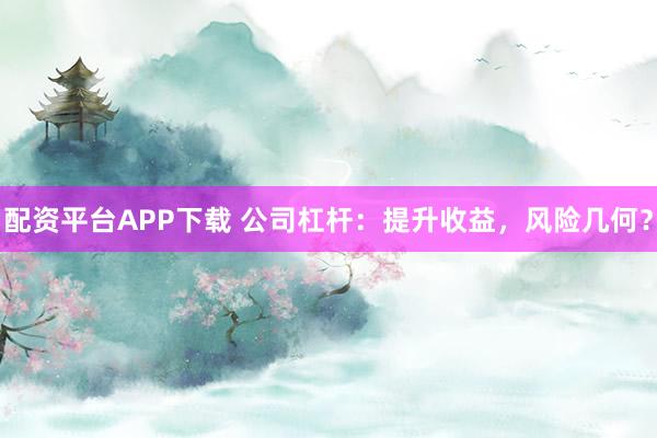 配资平台APP下载 公司杠杆：提升收益，风险几何？
