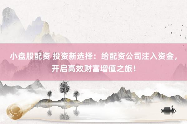 小盘股配资 投资新选择：给配资公司注入资金，开启高效财富增值之旅！