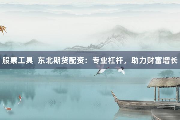 股票工具  东北期货配资：专业杠杆，助力财富增长