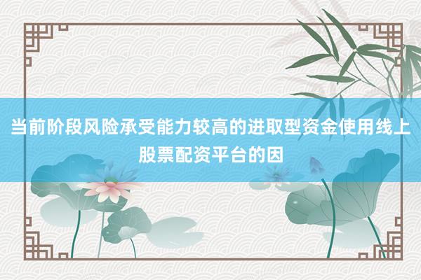 当前阶段风险承受能力较高的进取型资金使用线上股票配资平台的因