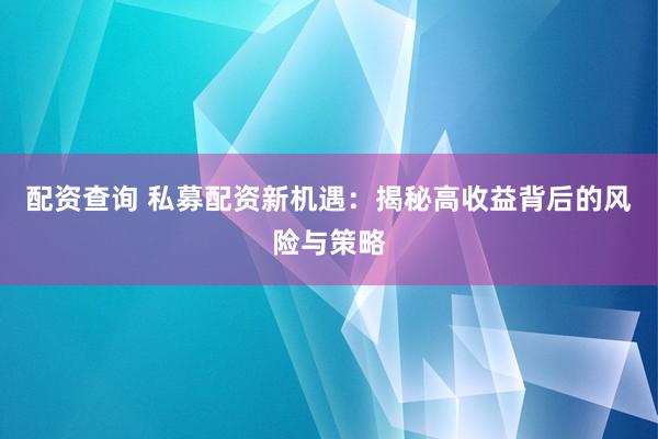 配资查询 私募配资新机遇：揭秘高收益背后的风险与策略
